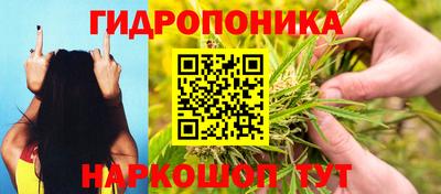 дурь Абакан