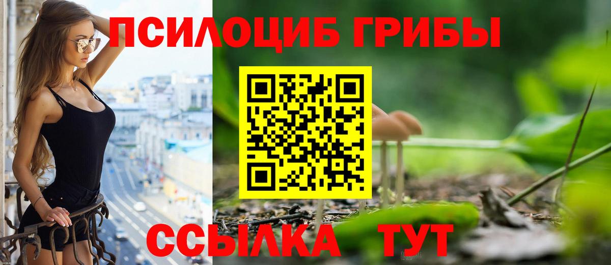 Алексин  Галлюциногенные грибы мицелий  Вход с VPN 